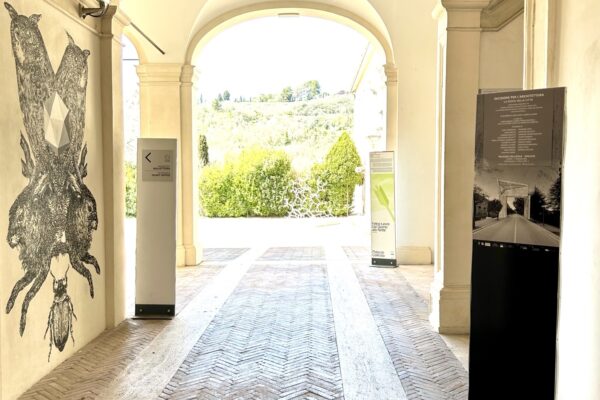 ingresso Collicola